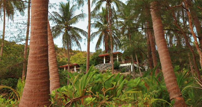 Villas in the Jungle on Koh Phangan